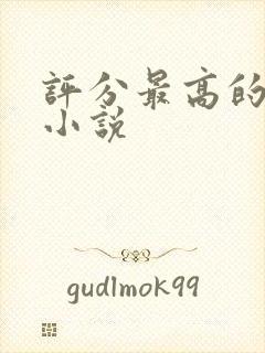 评分最高的完结小说