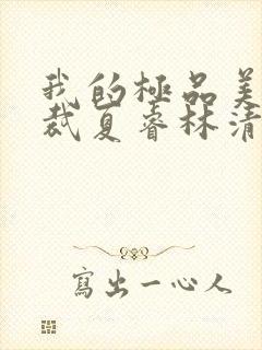 我的极品美女总裁夏睿林清雅全本小说阅读封面