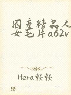 国产精品人妻熟女毛片a62v久久