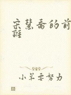 宋慧乔的前夫是谁封面