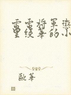 雷电将军惩罚神里绫华的小说叫什么