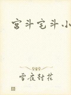 宫斗宅斗小说封面