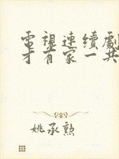 电视连续剧有你才有家一共多少集