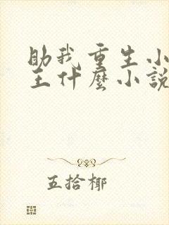助我重生小说晋王什么小说