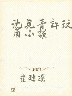 沈见青许玟玟主角小说