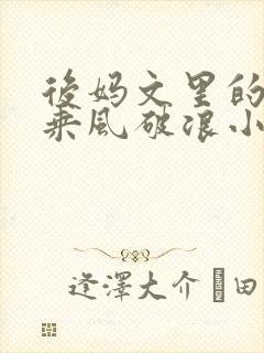 后妈文里的亲妈乘风破浪小说免费阅读封面