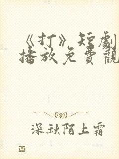 《打》短剧全集播放免费观看