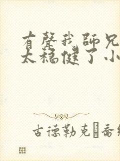 有声我师兄实在太稳健了小说