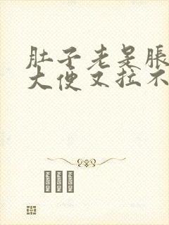 肚子老是胀胀想大便又拉不出封面