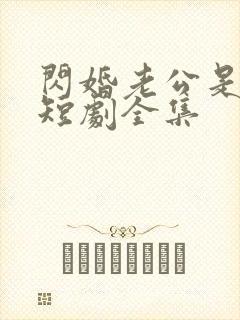 闪婚老公是豪门短剧全集