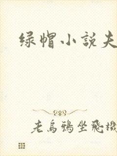 绿帽小说夫妻奴