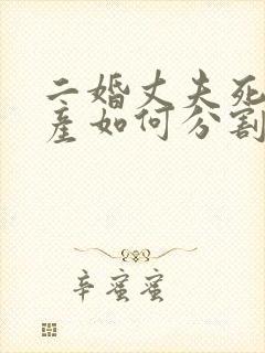 二婚丈夫死后遗产如何分割