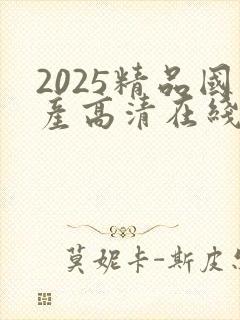 2025精品国产高清在线