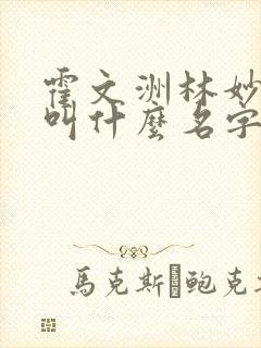 霍文洲林妙小说叫什么名字封面