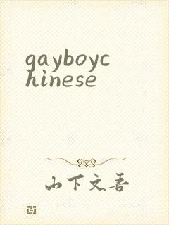 gayboychinese