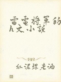 雷电将军的堕落h文小说