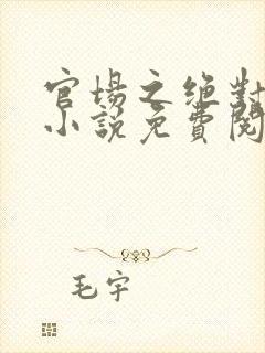 官场之绝对权力小说免费阅读无弹窗