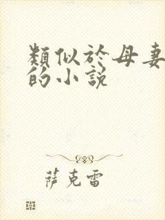 类似于母妻骑士的小说
