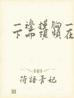 一边摸胸一边亲下面视频在线观看