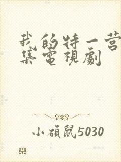 我的特一营41集电视剧封面