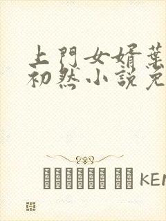 上门女婿叶辰萧初然小说免费读