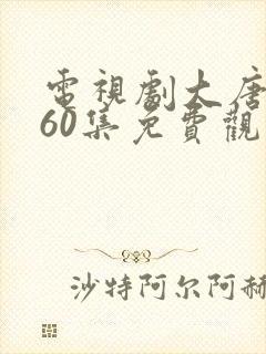 电视剧大唐荣耀60集免费观看