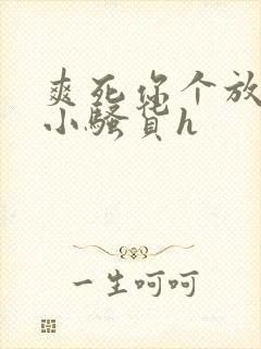 爽死你个放荡的小骚货h封面