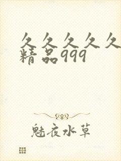 久久久久久国产精品999