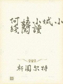 何姨小城小说在线阅读