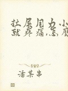 拉屎用力小腹部就疼痛,怎么回事