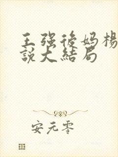 王强后妈杨美小说大结局