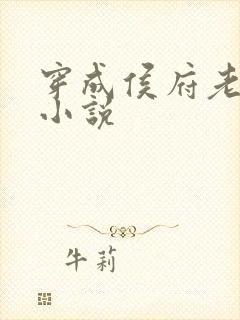 穿成侯府老夫人小说