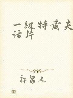 一级特黄夫妻生活片