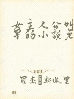 女主人公叫乔如星的小说免费阅读