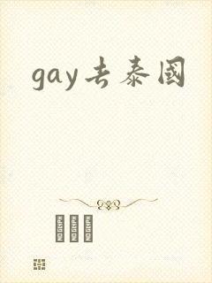 gay去泰国封面