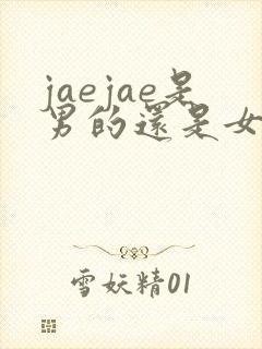 jaejae是男的还是女的