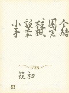 小说校园全能高手季枫完结版封面