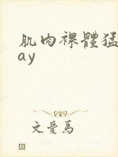 肌肉裸体猛男gay