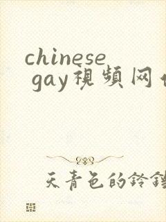 chinese gay视频网站