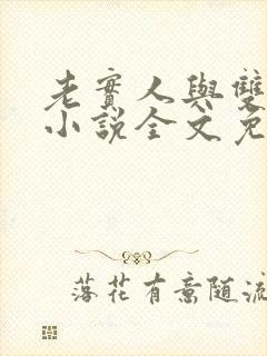 老实人与双胞胎小说全文免费阅读