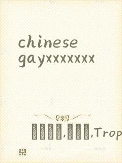 chinesegayxxxxxxx