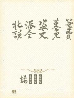 北派盗墓笔记小说全文免费阅读完整版封面