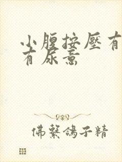 小腹按压有痛感有尿意