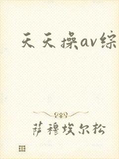 天天操av综合