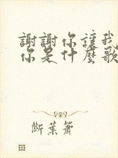 谢谢你让我遇见你是什么歌名的歌词