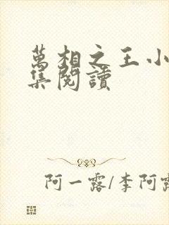 万相之王小说全集阅读