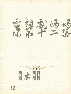 电视剧妈妈在等你第十二集