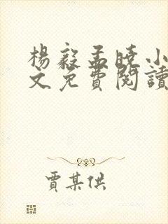 杨毅孟晓小说全文免费阅读