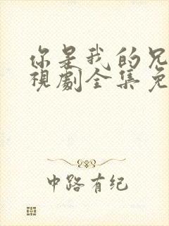 你是我的兄弟电视剧全集免费观看高清封面