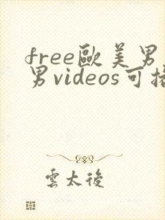 free欧美男男videos可播放